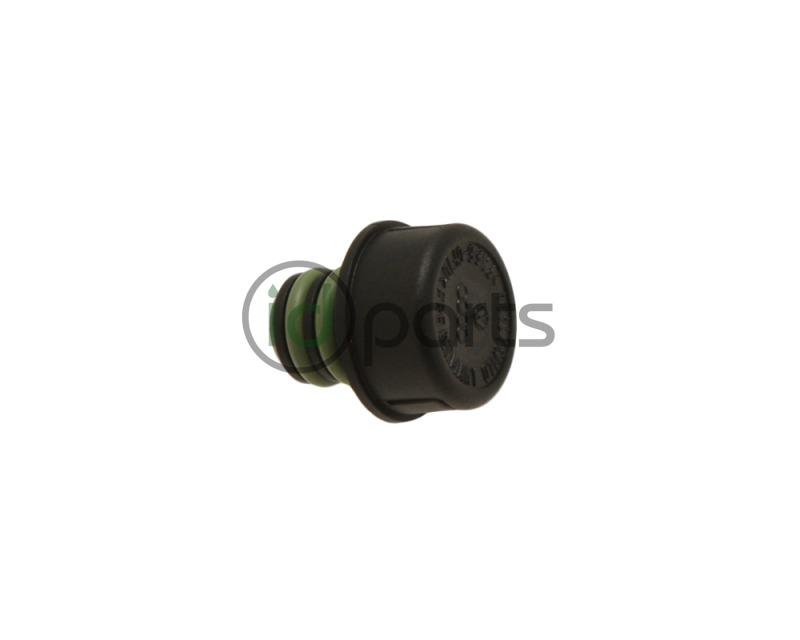 Automatic Transmission Fill Plug (A4 01M) Picture 1