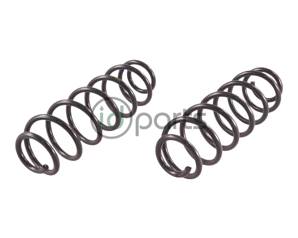 Rear Spring (A4 Jetta Sedan) Picture 1