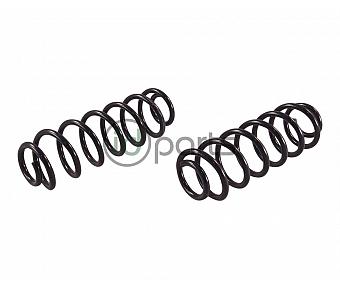 Rear Spring (MK6 Jetta w/IRS)