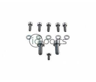 EGR Cooler Bolt Set (A4 BEW)