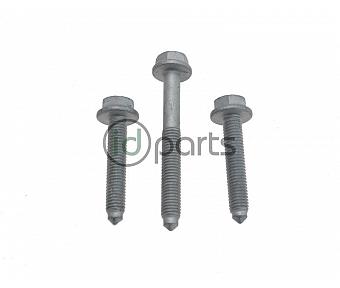 Serpentine Belt Tensioner Bolts (A4 ALH)