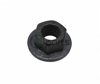 Coolant Pipe Nut