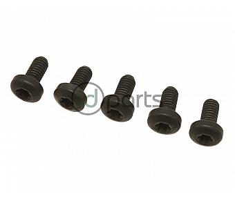 Fuel Filter Bolt Set (BRM)(CBEA)(CJAA)