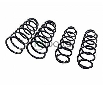 Complete Spring Set (A4 Jetta Wagon)