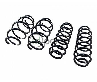 Complete Spring Set (Tiguan)