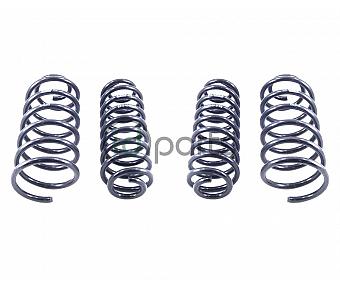 Eibach PRO-KIT Performance Spring Set (A4 Golf)