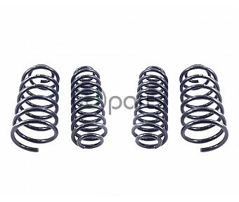 Eibach PRO-KIT Performance Spring Set (A4 Jetta)