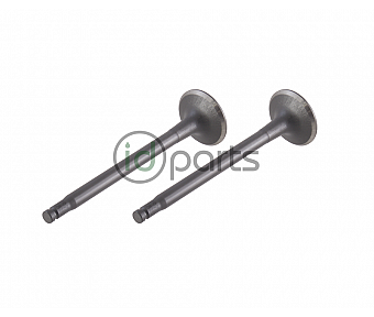 Intake Valve  (OM647)(OM648)