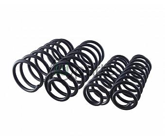 Lift Spring Set (Mk4 Golf & Jetta Sedan)