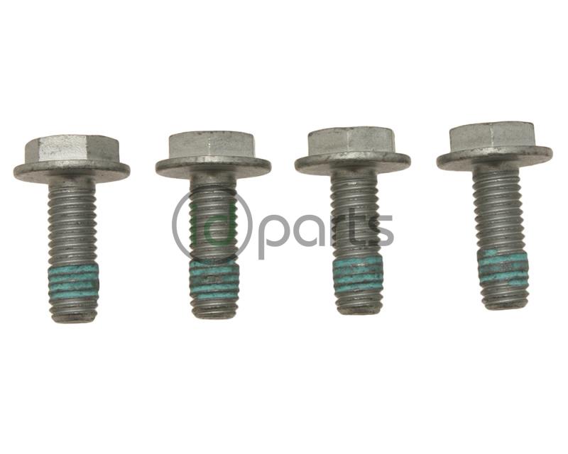 Rear Caliper-Carrier Bolt Set (4 bolts) (A4)(B5.5)(260mm)(253mm)(NMS 272)