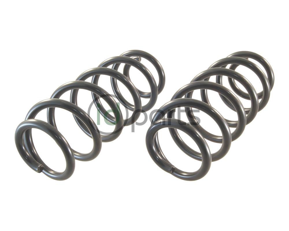 Front Spring (B5.5 Passat) Picture 1