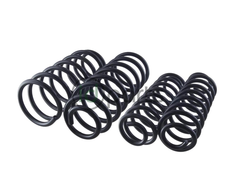 Lift Spring Set (Mk4 Golf & Jetta Sedan) Picture 1