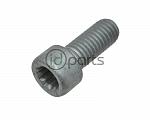 Axle Bolt Inner (A4 Auto)(DSG)