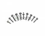 DSG Transmission Install Bolt Set (NMS CVCA)(Jetta CVCA)