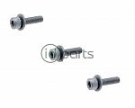 EGR Valve to Intake Manifold Bolt Set of 3 (A4 ALH)