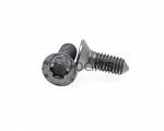 Rotor Screws Pair (VW)