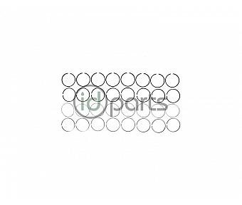 Complete Piston Ring Set (LML)