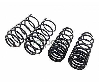 Lowering Spring Set (A4 Golf)