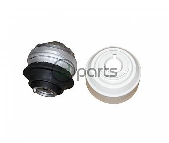 Engine Mount (W211 OM648 Right)(W211 OM642 Both)