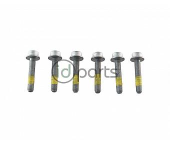 Automatic Transmission Pan Bolt Set (722.6)(NAG)