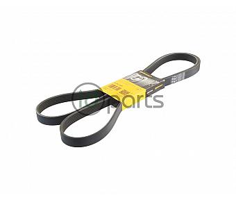 Serpentine Belt (VS30 OM651)