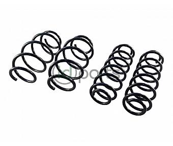 Complete Spring Set (A5 Jetta)