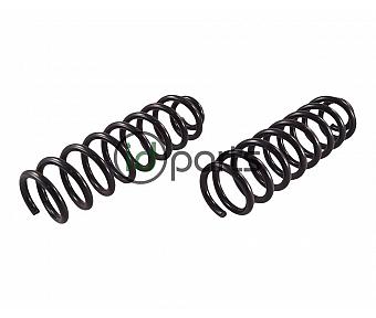 Front Spring Set (W164)