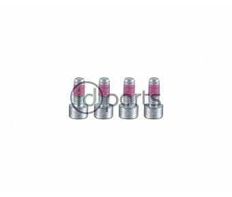 Auxiliary Cooling Fan Mounting Bolts(4) (BHW)