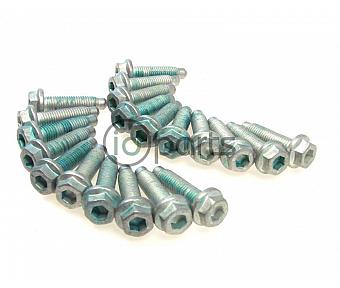 Oil Pan Bolt Set (20) (All 4-cyl TDI)