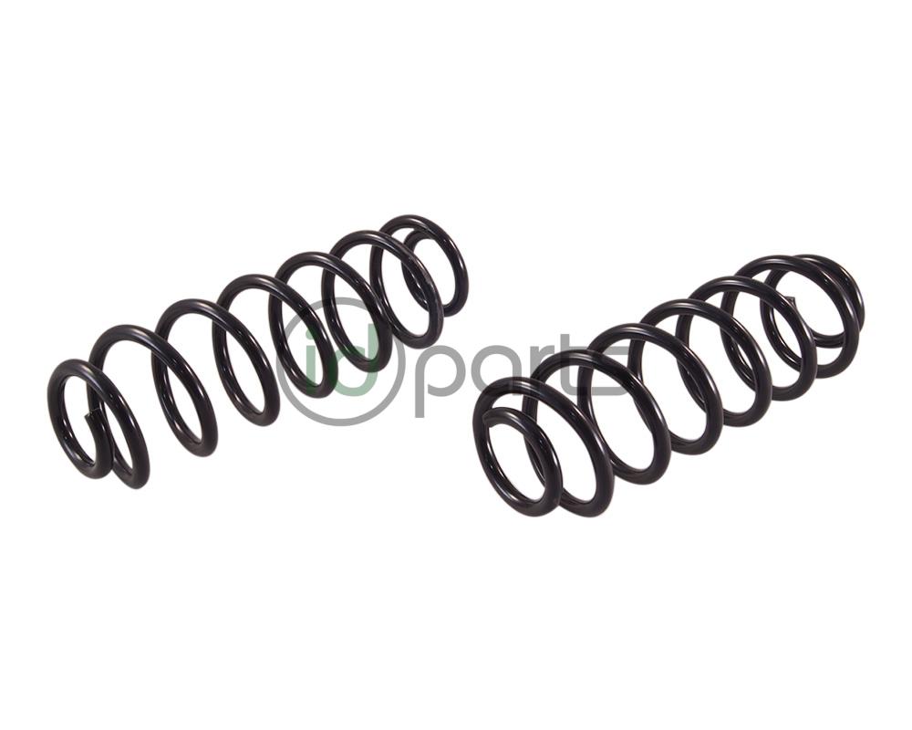 Rear Spring (MK6 Jetta w/IRS) Picture 1