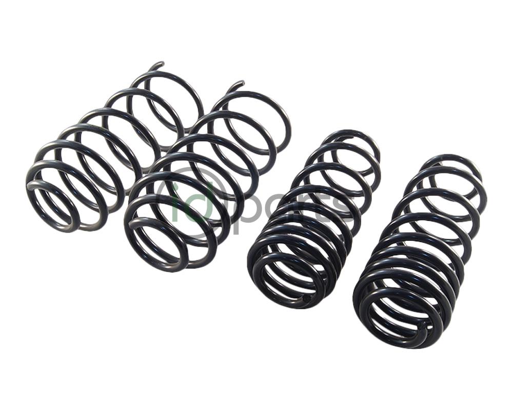 Lowering Spring Set (A4 Golf) Picture 1