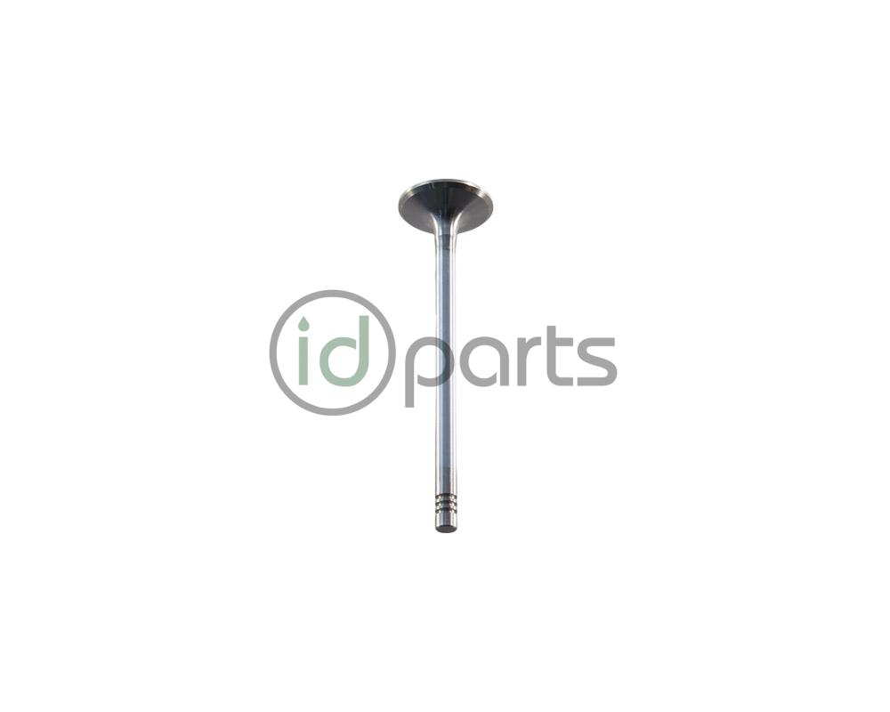 Intake Valve (M57) Picture 1