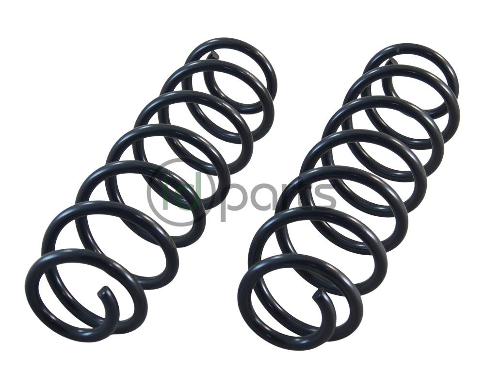 Rear Spring (MK7 Golf) Picture 1