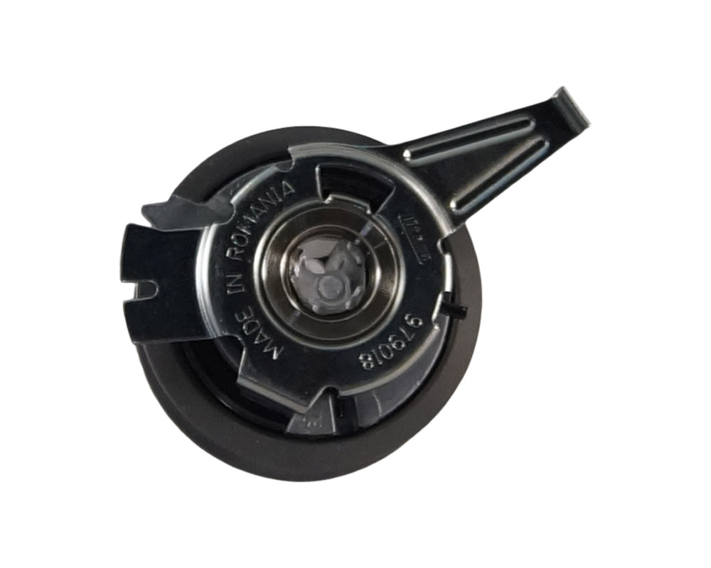 Timing Belt Tensioner (CVCA CRUA) Picture 1