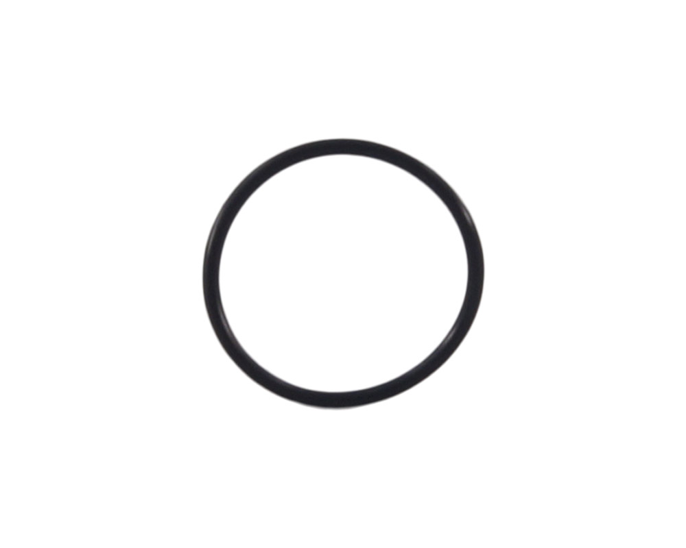 Intake Elbow O-Ring (CRUA)(CVCA) Picture 1