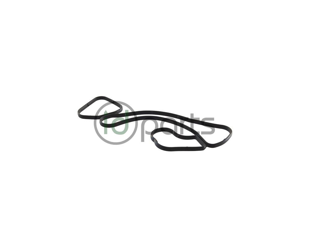 Oil Cooler Middle Seal (CPNB)(CNRB) Picture 1