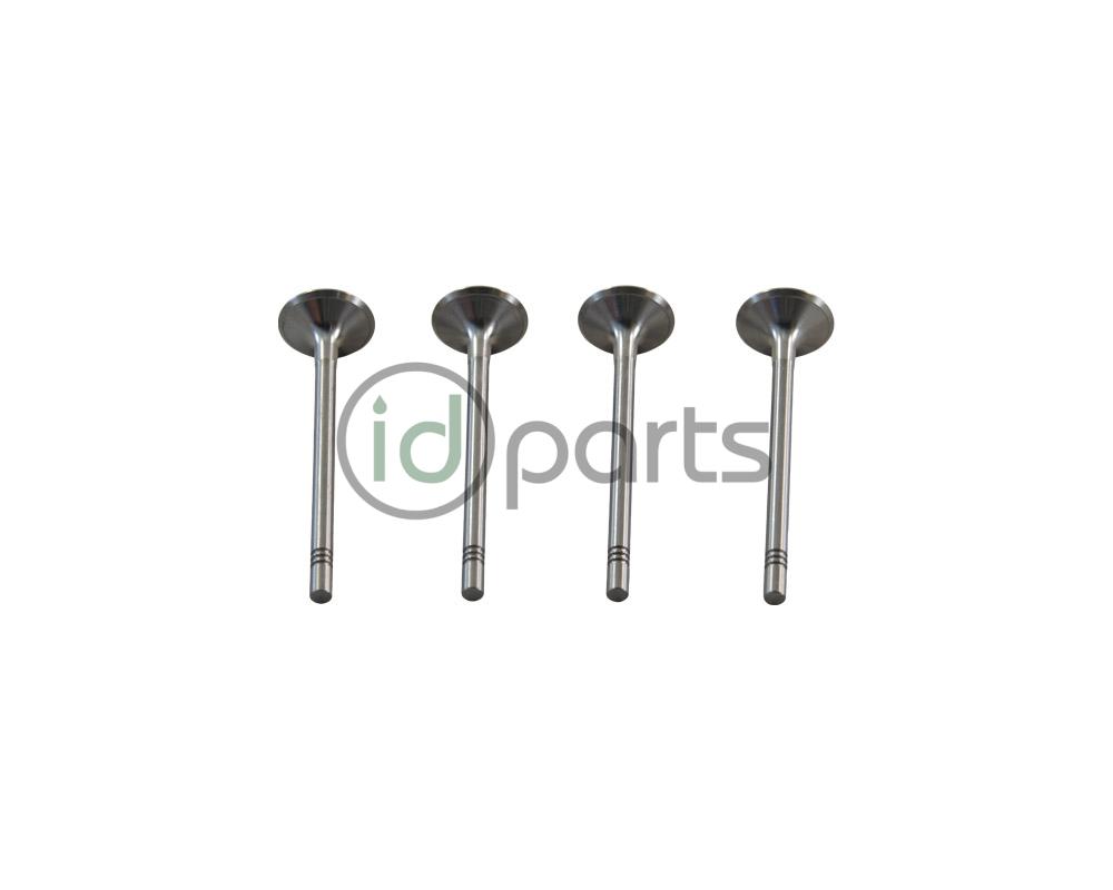 Intake Valve [Freccia] (CVCA)(CRUA) Picture 1