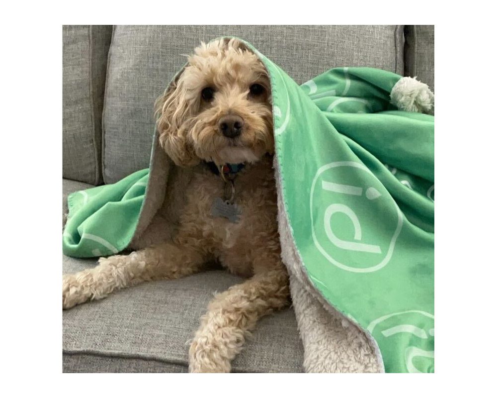 IDParts Sherpa Blanket Picture 3