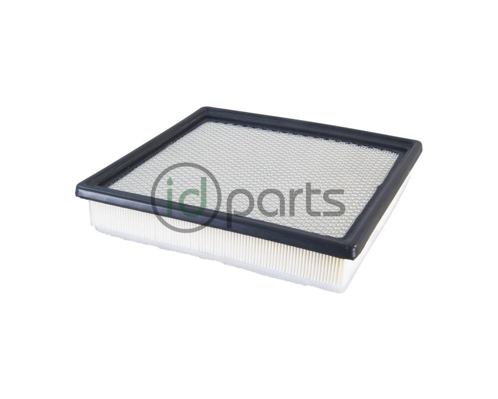 Air Filter (LWN) Picture 1