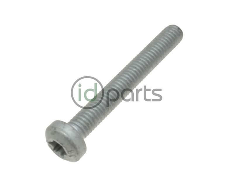 Turbo Outlet Dampener Screw INDIVIDUAL (Mk6 CJAA) Picture 1