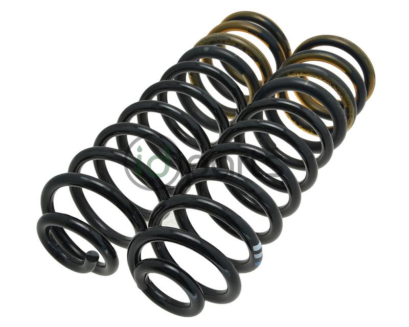 Passat Rear Spring PAIR OEM (B4)