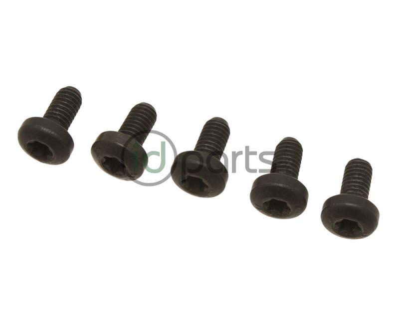 Fuel Filter Bolt Set (BRM)(CBEA)(CJAA)