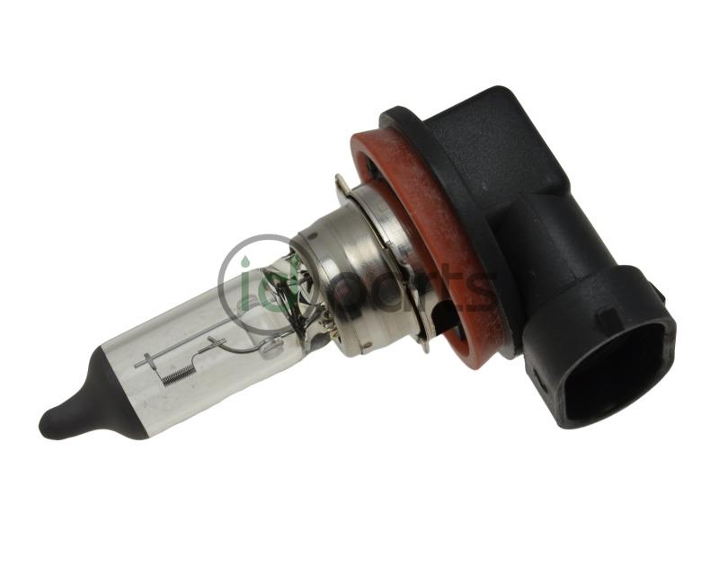 H8 Halogen Bulb Picture 1