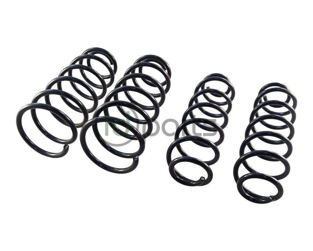 Complete Spring Set (A4 Jetta)