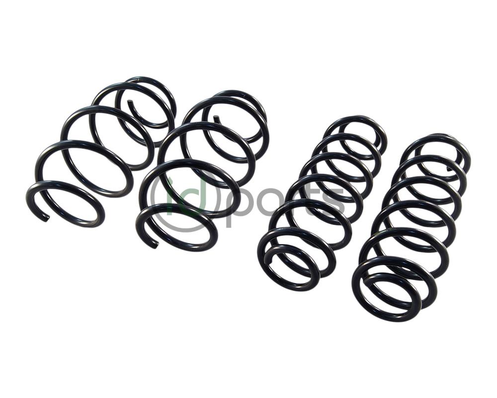 Complete Spring Set (A5 Jetta)