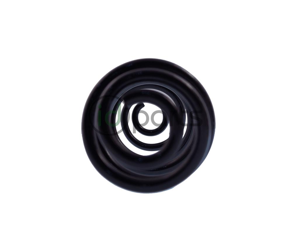 Rear Spring (B5.5 Passat) Picture 2