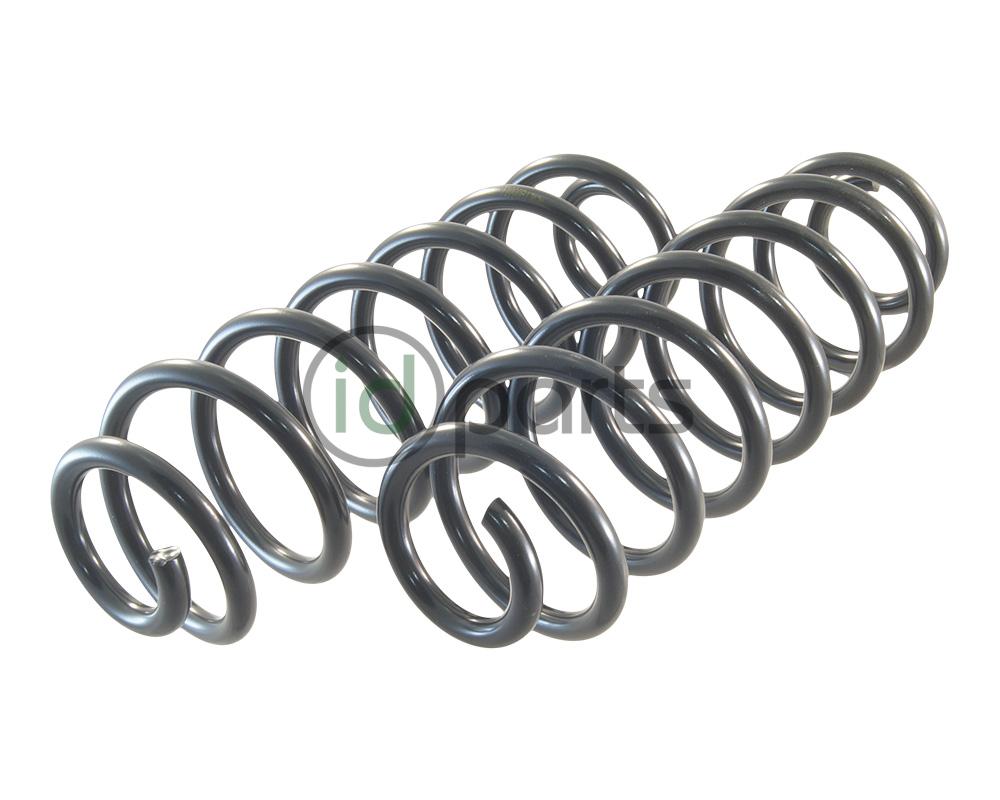 Rear Spring (NMS) Picture 1