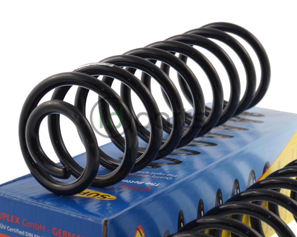 Rear Springs Heavy Duty (A3) Picture 2