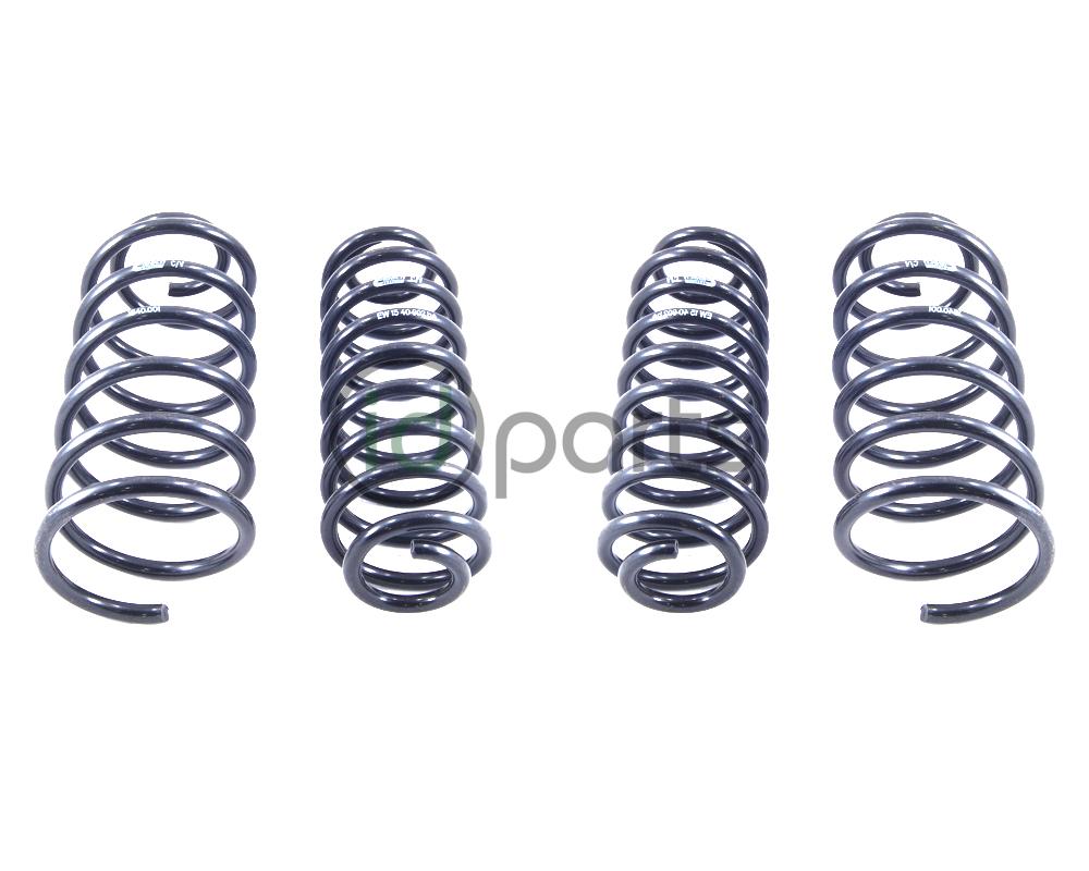 Eibach PRO-KIT Performance Spring Set (A4 Golf) Picture 1
