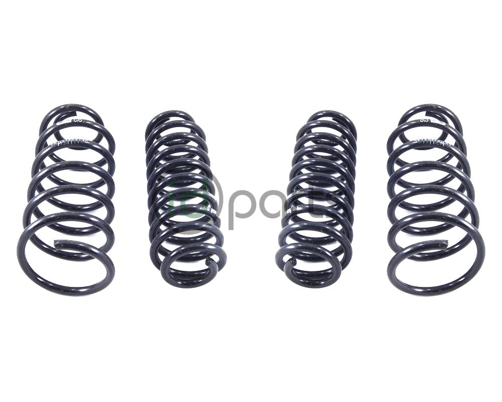 Eibach PRO-KIT Performance Spring Set (A4 Jetta Wagon) Picture 1